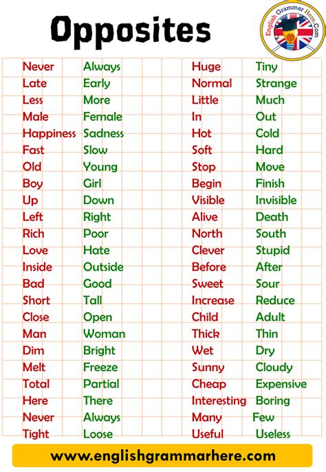 opposiits|examples of opposites.